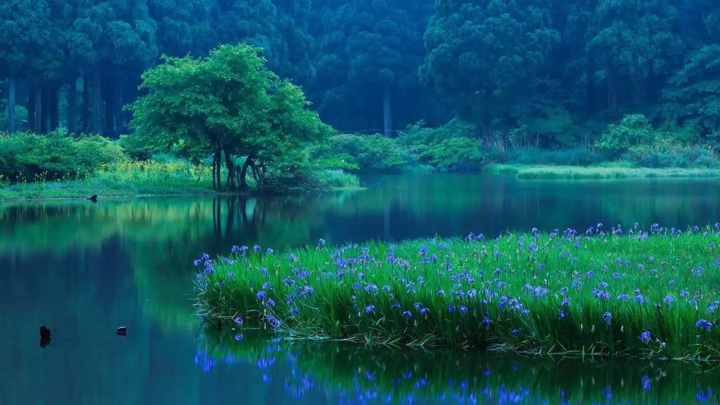 绿色护眼清新风景壁纸精选(下)