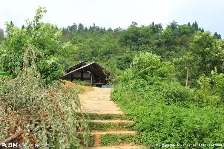 大山中人家图片