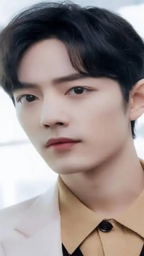 肖战高颜值帅哥高清手机壁纸_明星_手机壁纸下载_美桌网