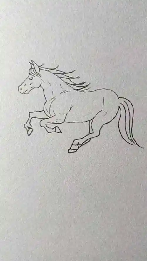 画一匹奔跑的骏马你学会了吗