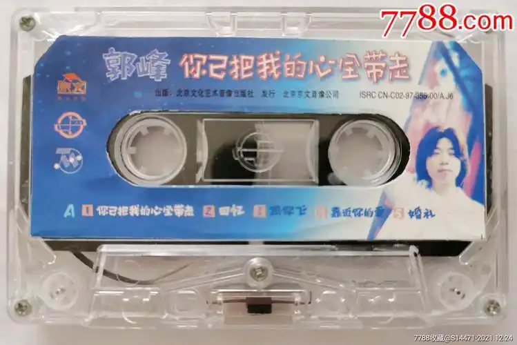 你已把我的心全带走郭峰