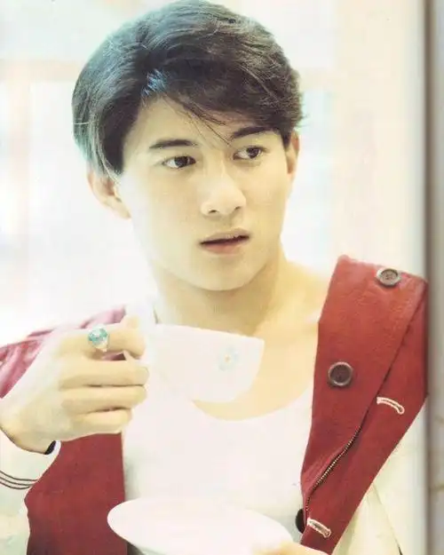 年轻时的吴奇隆有多帅气一组照片告诉你