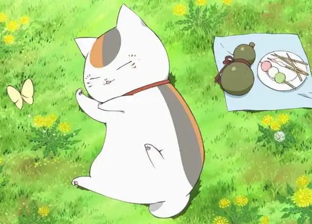 《夏目友人帐》猫咪老师叫什么?友人帐是什么东西?