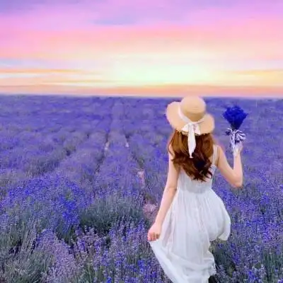 高级感背影头像女