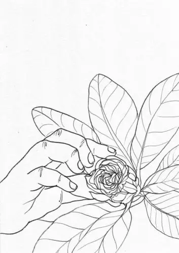 一波简单线描手部范例