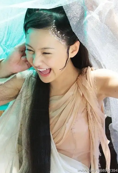 郑爽 画壁 牡丹 截图