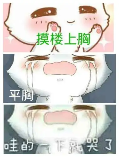 摸楼上胸,平胸哇的下哭了 - 斗图表情包 - 金馆长表情库 - 真正的斗图