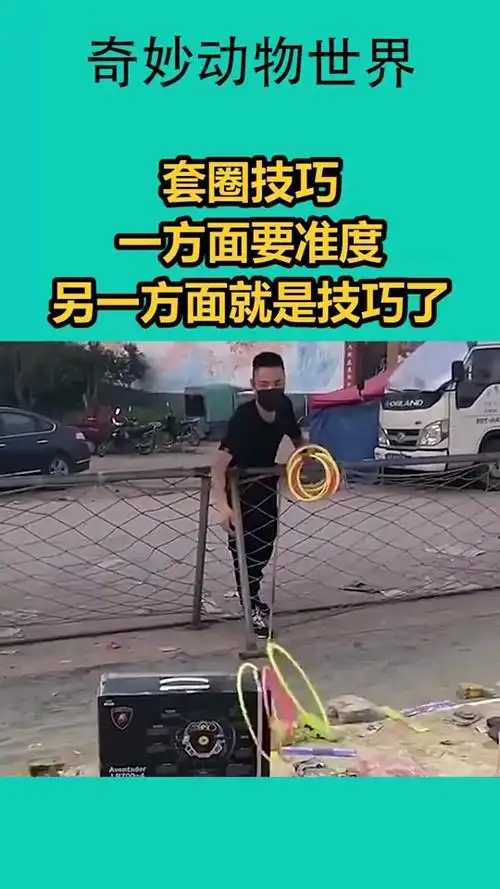 套圈技巧,一方面要准度,另一方面就是技巧了