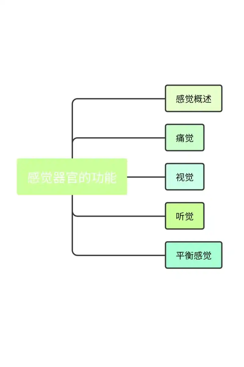 生理学思维导图—感觉器官的功能.#生理学 #西医综合 #医学 - 抖音