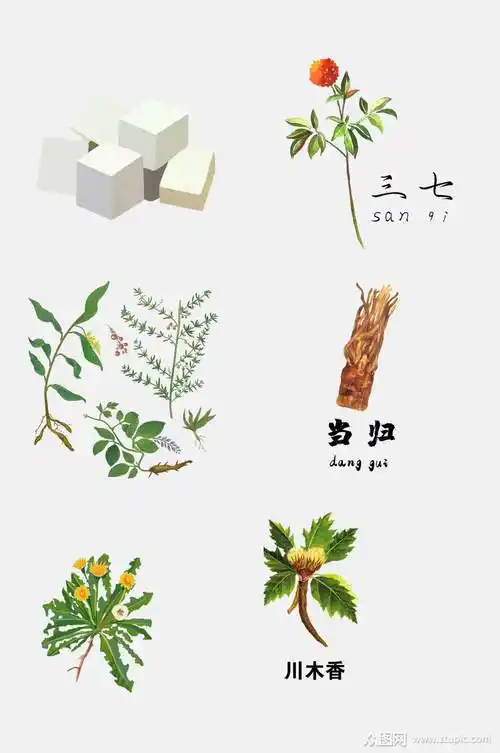 手绘中医草本植物免抠元素