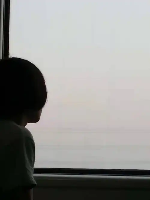 火车上遇见的一个小女孩子,拍了照,却没来得及说上话当时被她背影完全