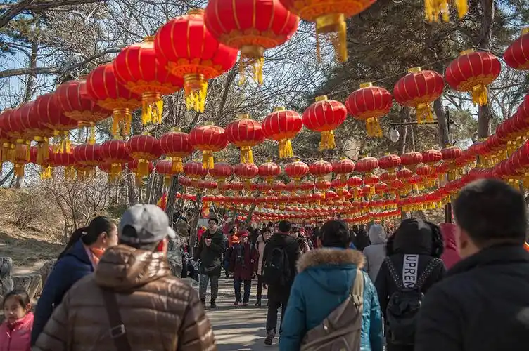 参赛"旺年纪实",组照《逛圆明园庙会》李海潮13484700536