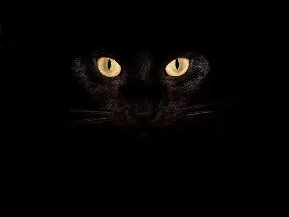 50张超酷的黑暗系桌面壁纸