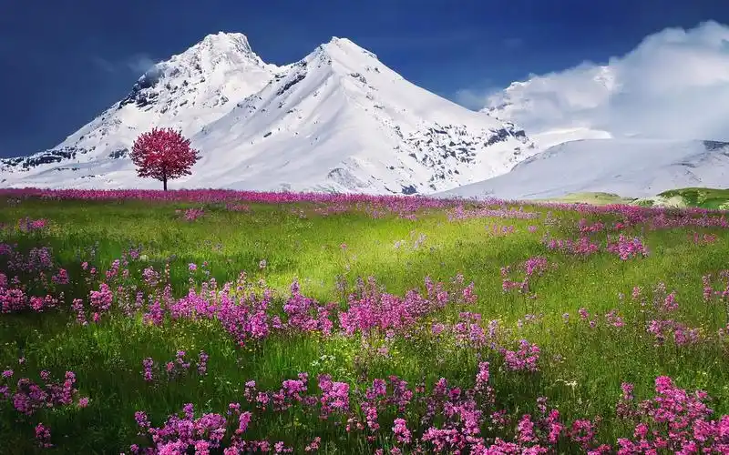 唯美的山川湖海风景桌面壁纸