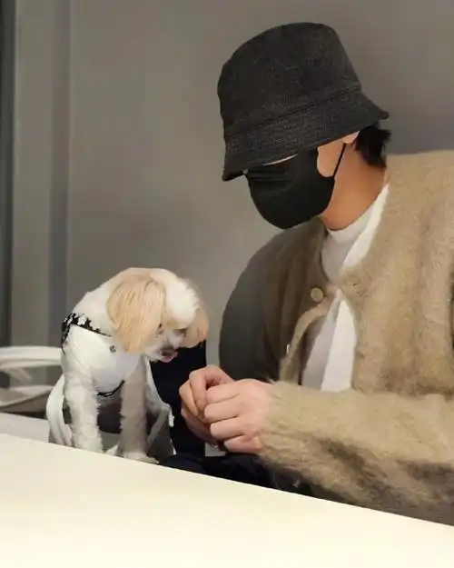 朴灿烈超话#朴灿烈0223亮相十二周年#  240206 灿烈ins 更新一则