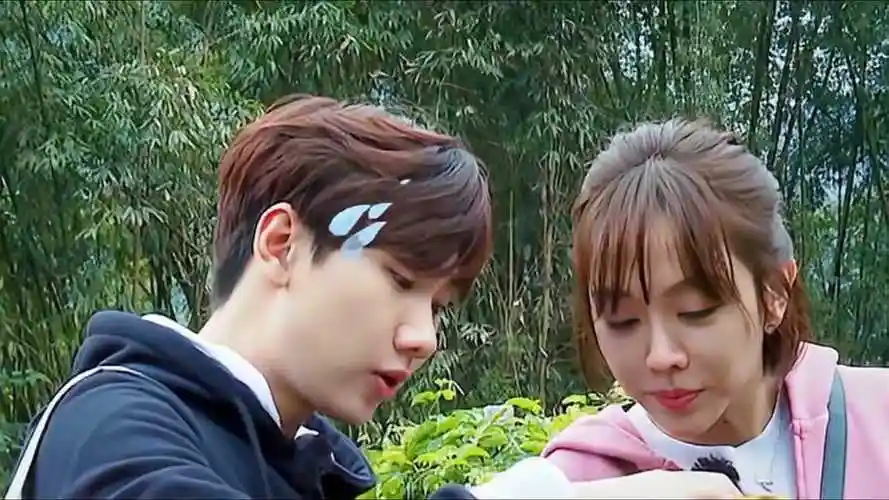 汪涵林依轮都在干活谁料镜头一转汪苏泷姜妍一个比一个吃得香