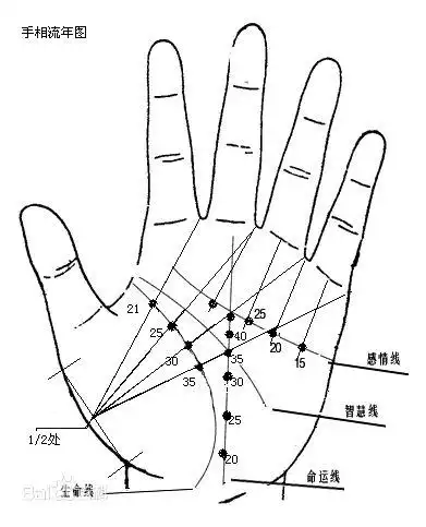 第四,其它手指上的效果就差了许多,尤其在掌心生命线上出现,那叫岛