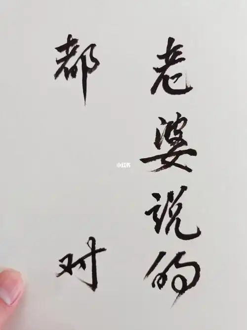 老婆说的都对书法