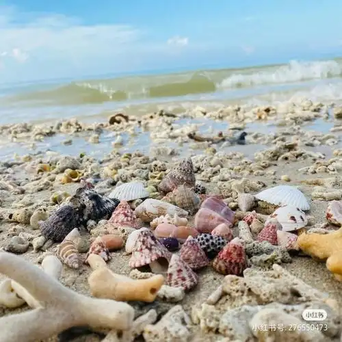 这两天查攻略查得眼睛痛了95目前还没有订到涠洲岛合适的民宿!