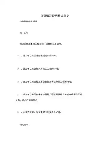 公司情况说明格式范文