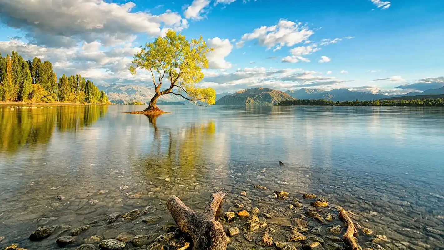 瓦纳卡湖风景摄影高清宽屏桌面壁纸