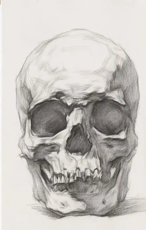 素描教学丨从结构学习素描头骨的刻画细节