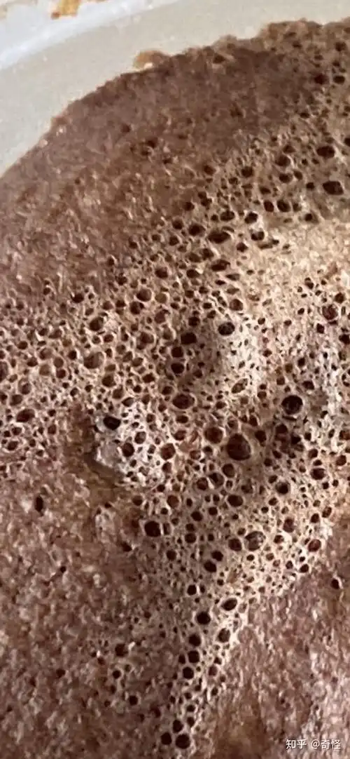 有哪些逼死密集恐惧症的图片或视频