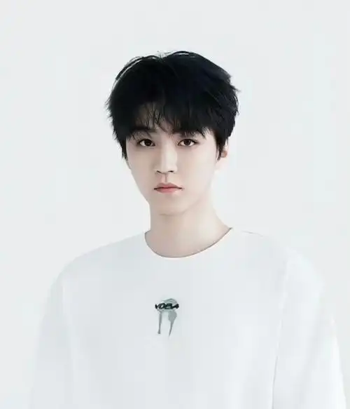 内娱男明星的证件照#那一定不能错过王俊凯的证件照,五官端正,澜乔