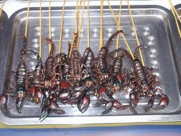 油炸蝎子;美味昆虫大餐;烧烤蝎子;网购一族美食_特色美食菜谱推荐