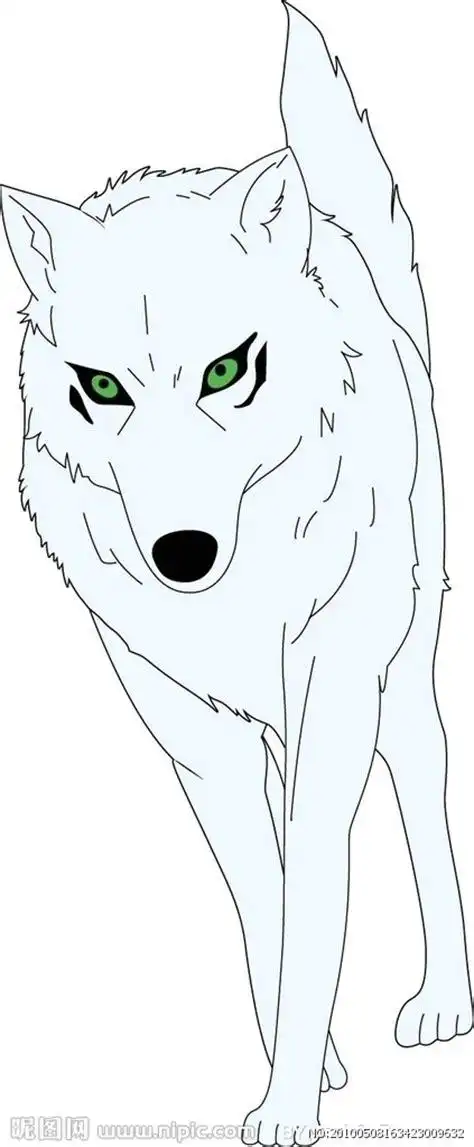 狼的图片简笔画狼简笔画图片大全大图2022已更新今日资讯