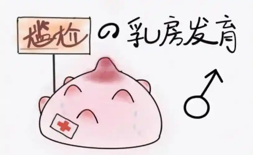 胸发育多久青春期乳房发育持续多久