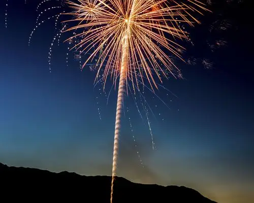 烟花,夜晚,天空,假期 壁纸