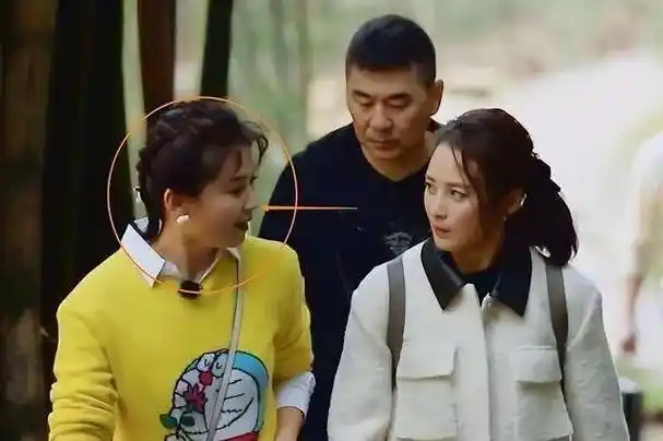 出道23年,再看"国民媳妇"刘涛如今的处境,蒋勤勤的话全应验了_综艺咖