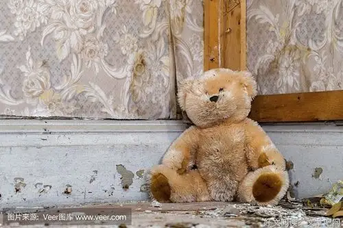 玩具熊也有灵魂什么是泛灵论丨每日罐头