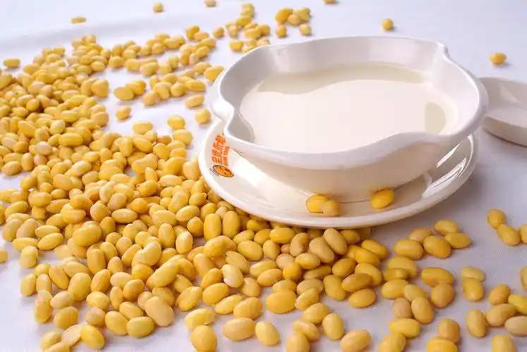 济南哪里有学习豆浆技术的学校