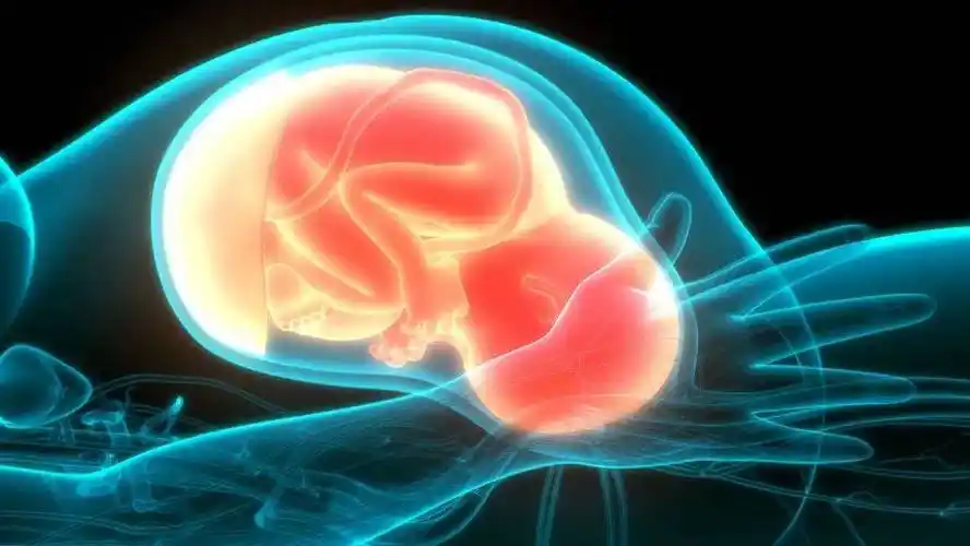 又有哪些注意事项?_胎儿_产道_孕妇