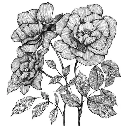 一看就会的针管笔手绘教程,超锻炼你的线条能力,张张都能拿来练手哦!