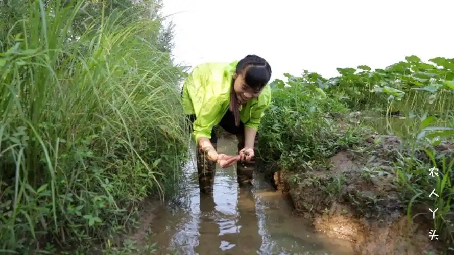 城市几十元一斤的野货,农村姑娘田间双手一挥好几斤,越摸越上瘾