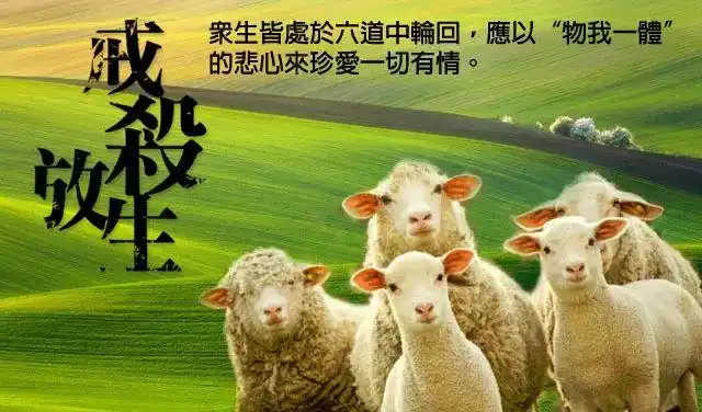 诸余业中,杀生最重,诸杀生中,堕胎最重! 奉劝世人,切勿杀生! 上毯好