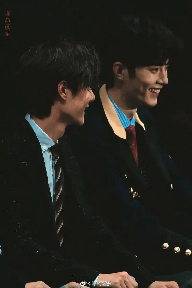 心情不好的时候看看博肖吧可以治愈一切的博肖肖战王一博