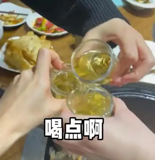 南方女孩到吉林玩东北闺蜜每天带她喝酒喝到恍惚网友看后乐了