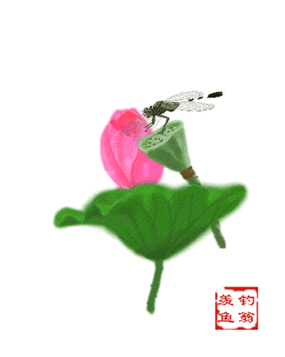 336_420竖版 竖屏gif 动态图 动图