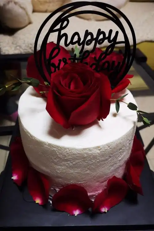 晚上女婿下班后,女儿一家人带来生日蛋糕和我一起过生日!