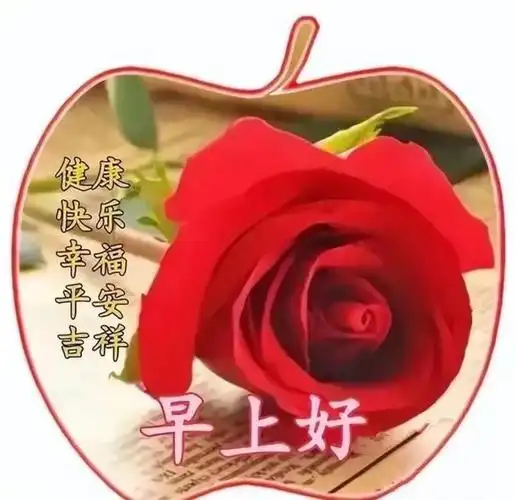 今日精选早安问候祝福图片|快乐|清晨|早上好|好心情_网易订阅