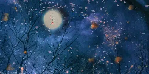 撸了了张古风星空