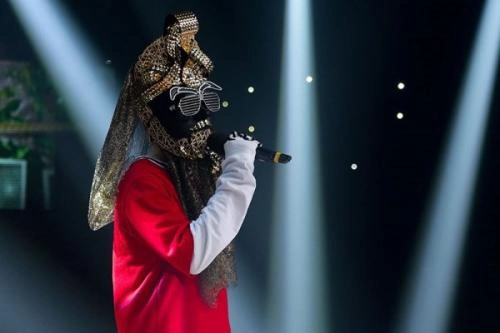 怎样评价《蒙面歌王》?