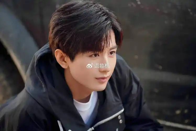 娱乐资讯:成毅,肖战,王一博,迪丽热巴,赵丽颖,刘诗诗,杨幂