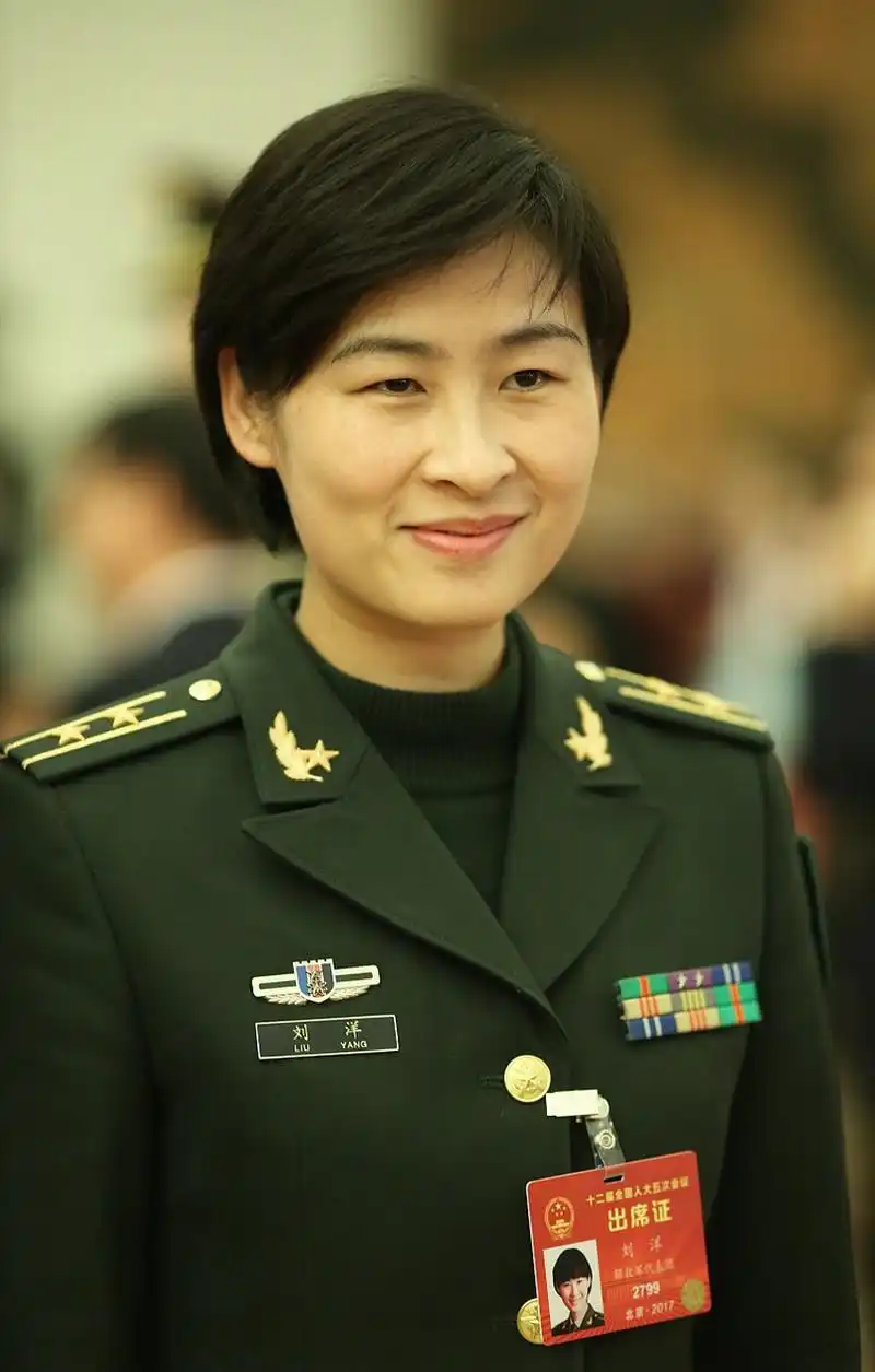 李莉教授的极端军事建议引发了全球范围内的热议和争议.