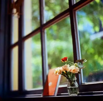 o,窗,阳光,花