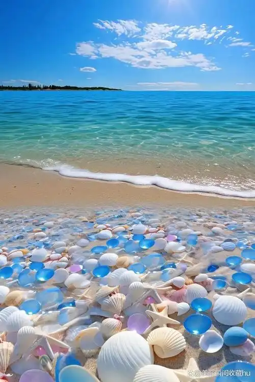 快来捡这么美丽的贝壳吧!